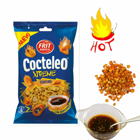 FS COCKTAIL TERIYAKI EXTREM F.RAVICH 160GR
