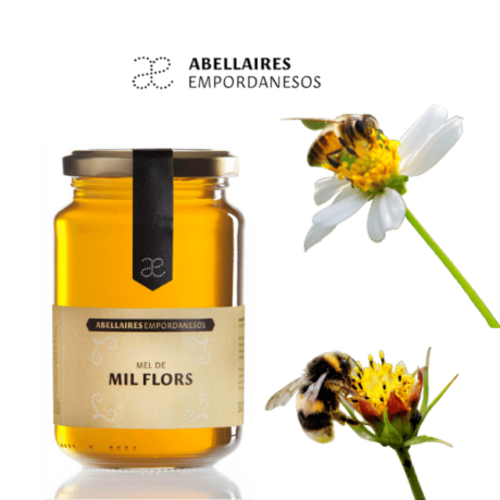 MIEL MIL FLORES ABELLAIRES EMP. 250 GR