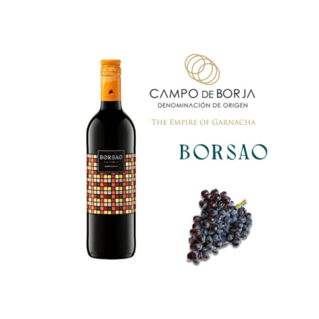 V.CAMPO BORJA T.BORSAO CLASICO